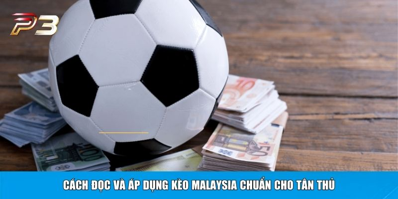 Cách đọc và áp dụng kèo Malaysia chuẩn cho tân thủ